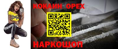 гидра Будённовск