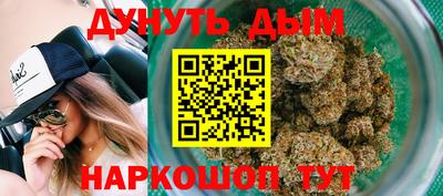 гидра Будённовск