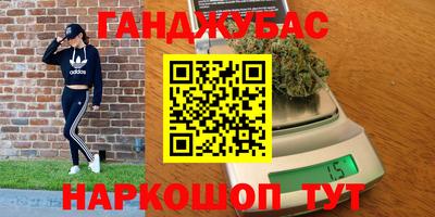 гидра Будённовск