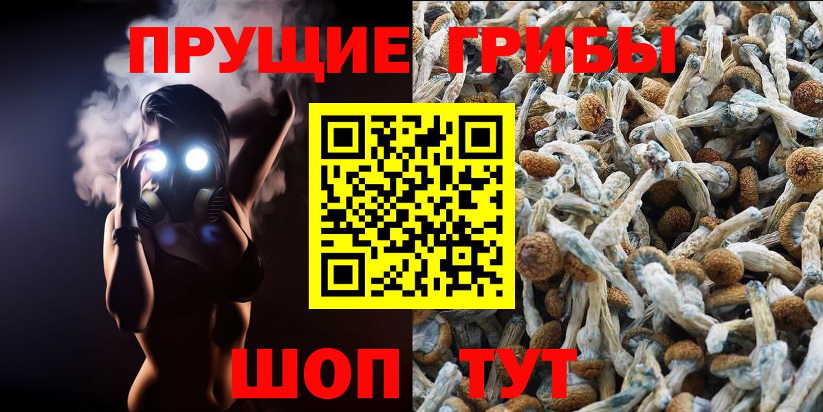 Псилоцибиновые грибы GOLDEN TEACHER Буйнакск