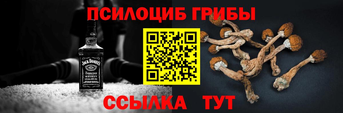 Псилоцибиновые грибы ЛСД  Вход с VPN  Буйнакск 